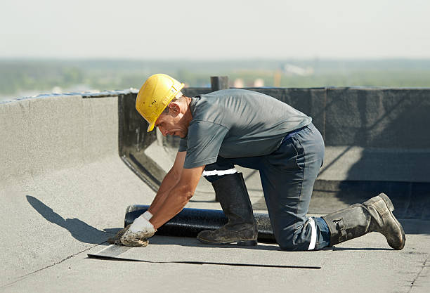Best Local Insulation Services  in Lake Monticello, VA