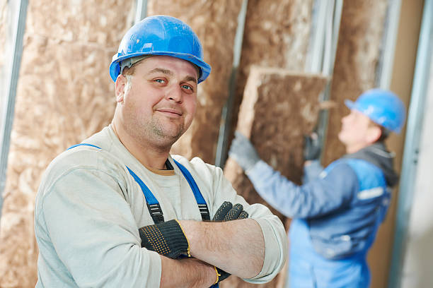 Best Professional Insulation Contractor  in Lake Monticello, VA