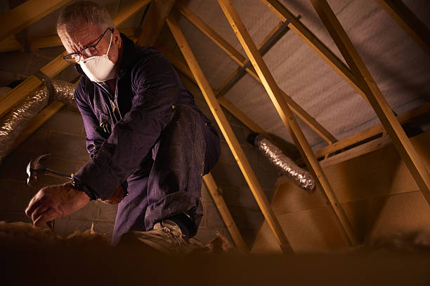 Best Residential Insulation Services  in Lake Monticello, VA